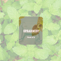 Spearmint Aura Flair Flavour Cores